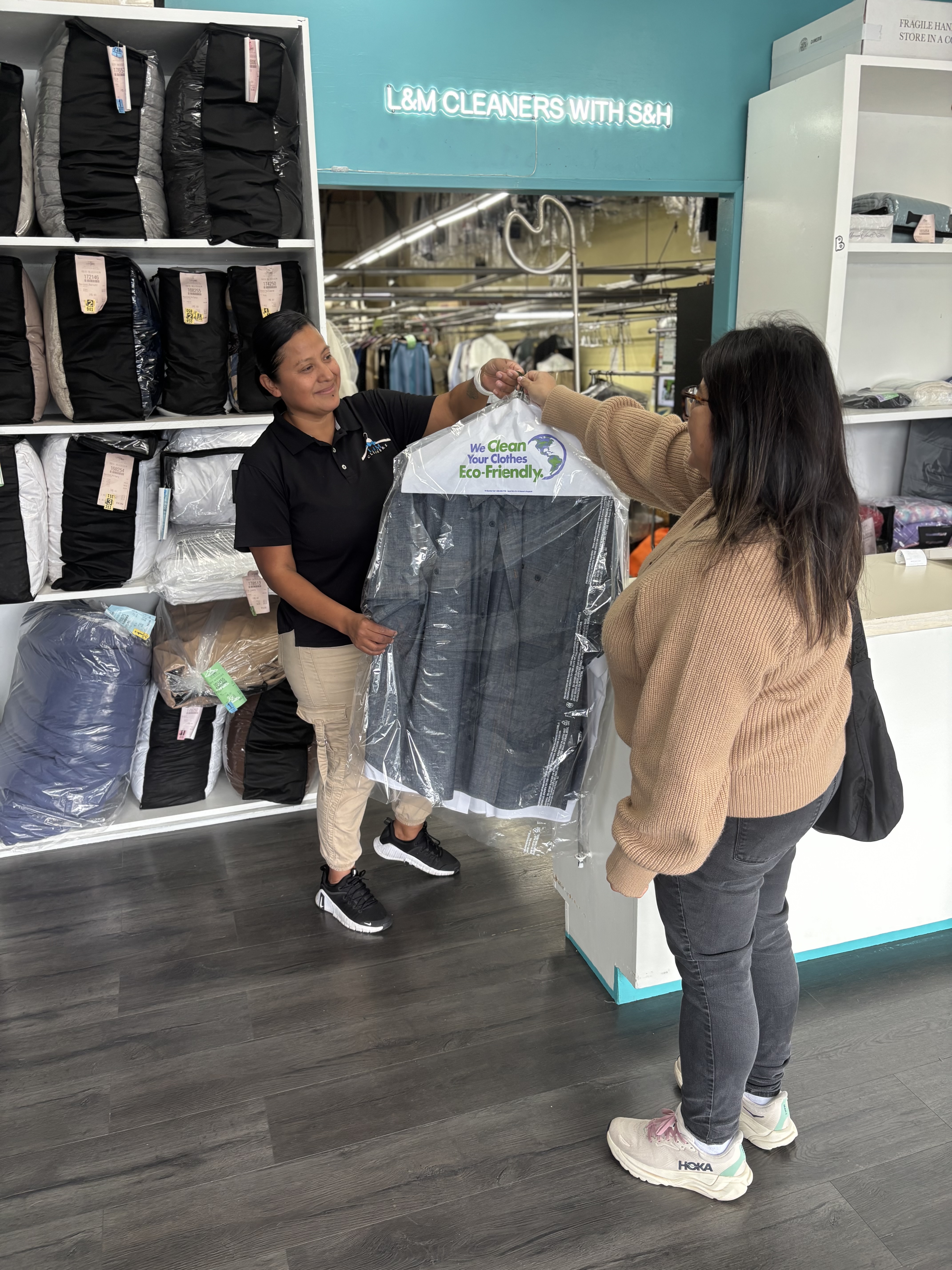 Eco-Friendly Specialty Cleaning in Novato